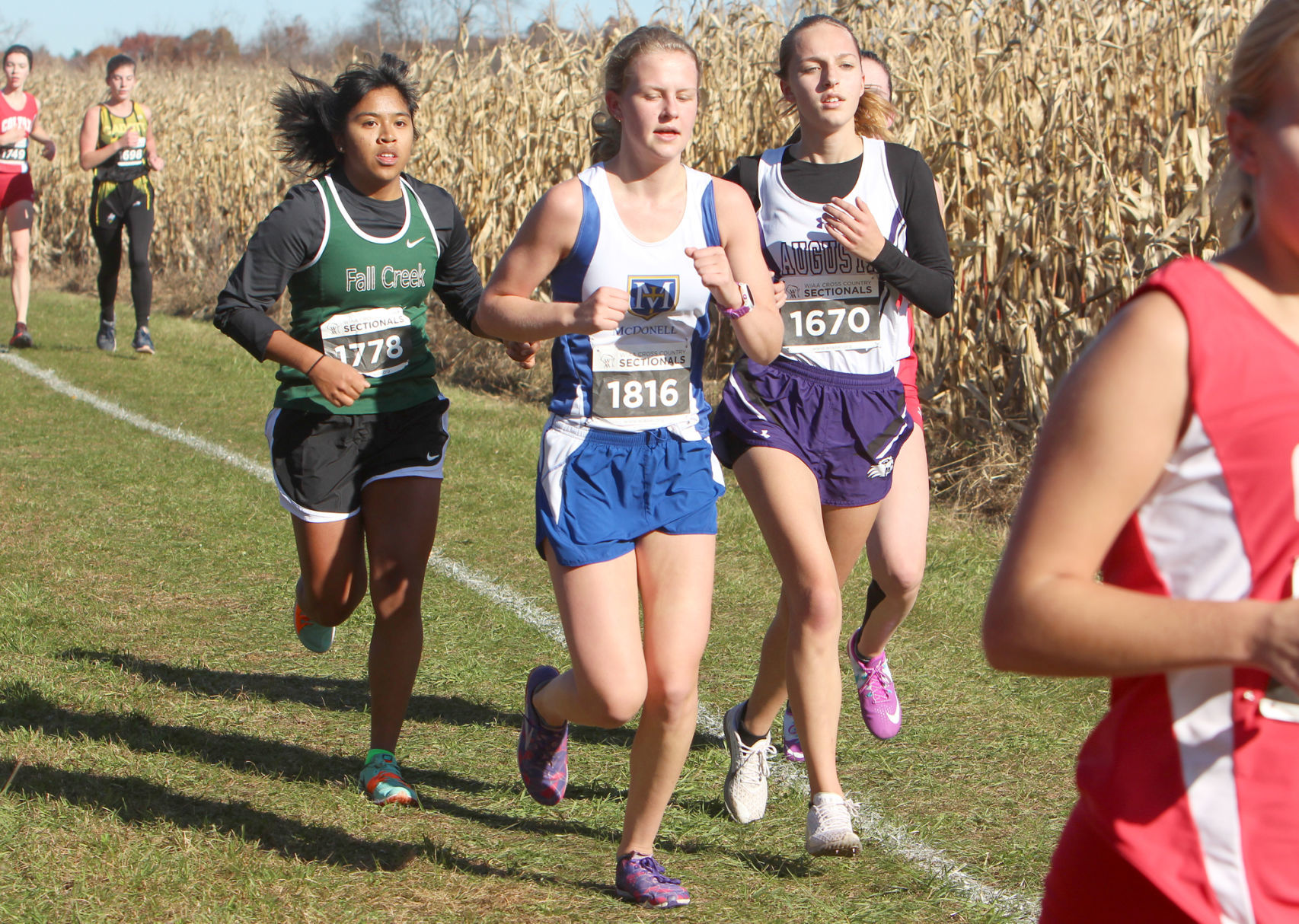 Division 3 Cross Country Sectionals in Boyceville 10-26-19
